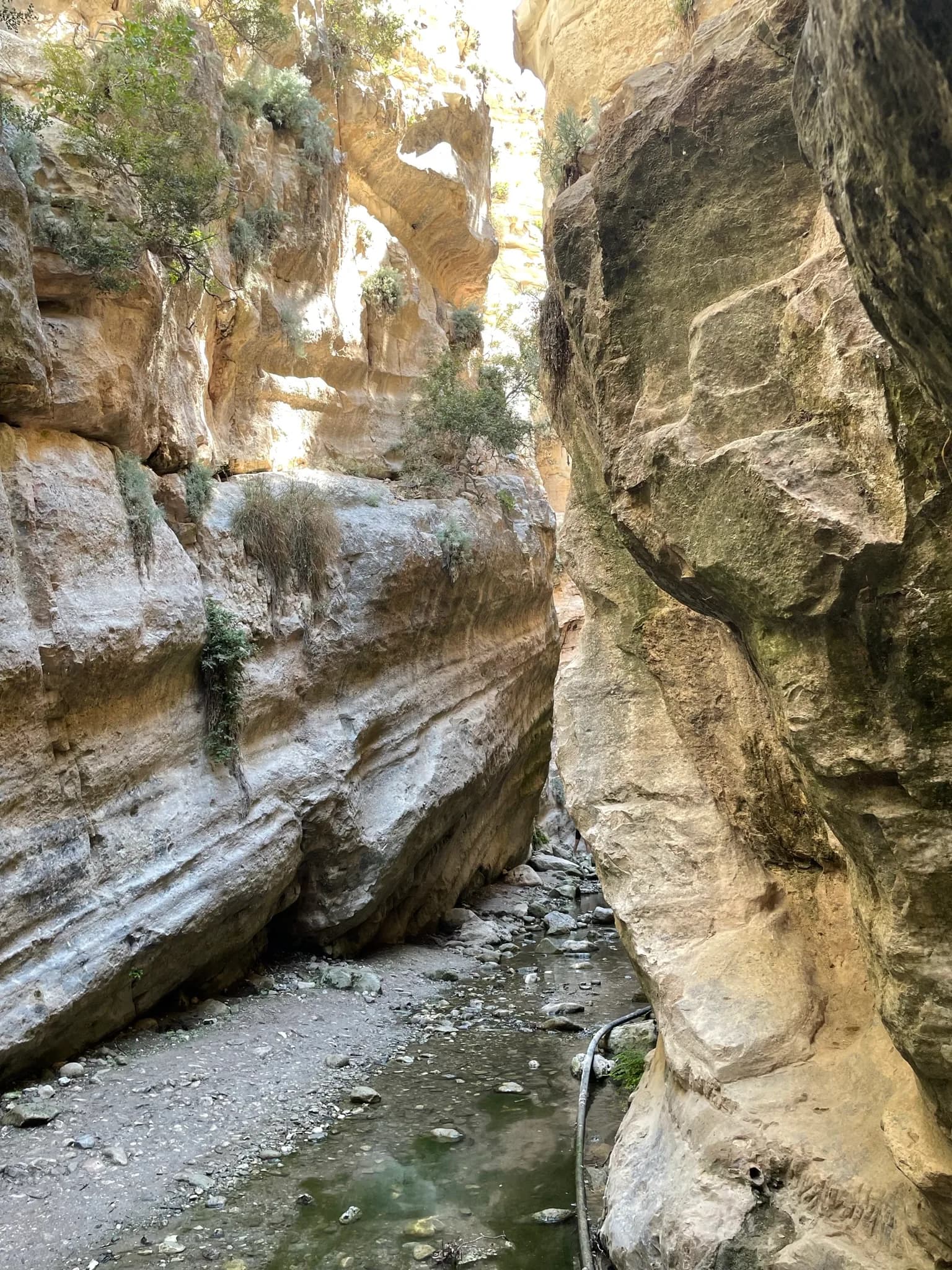 Hoge smalle kalkstenen wanden in Avakas Gorge