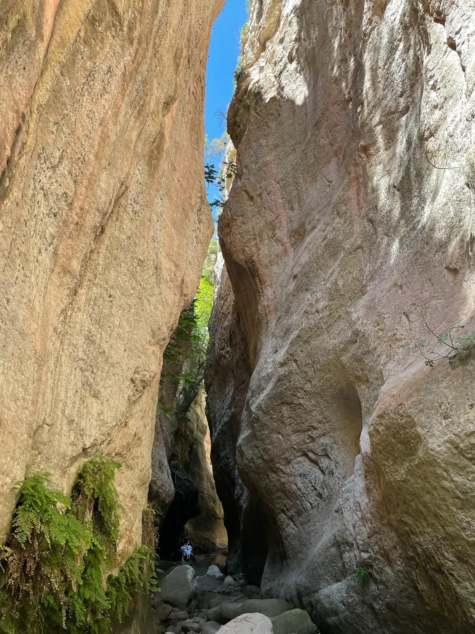 Smalle doorgang tussen de rotswanden van Avakas Gorge