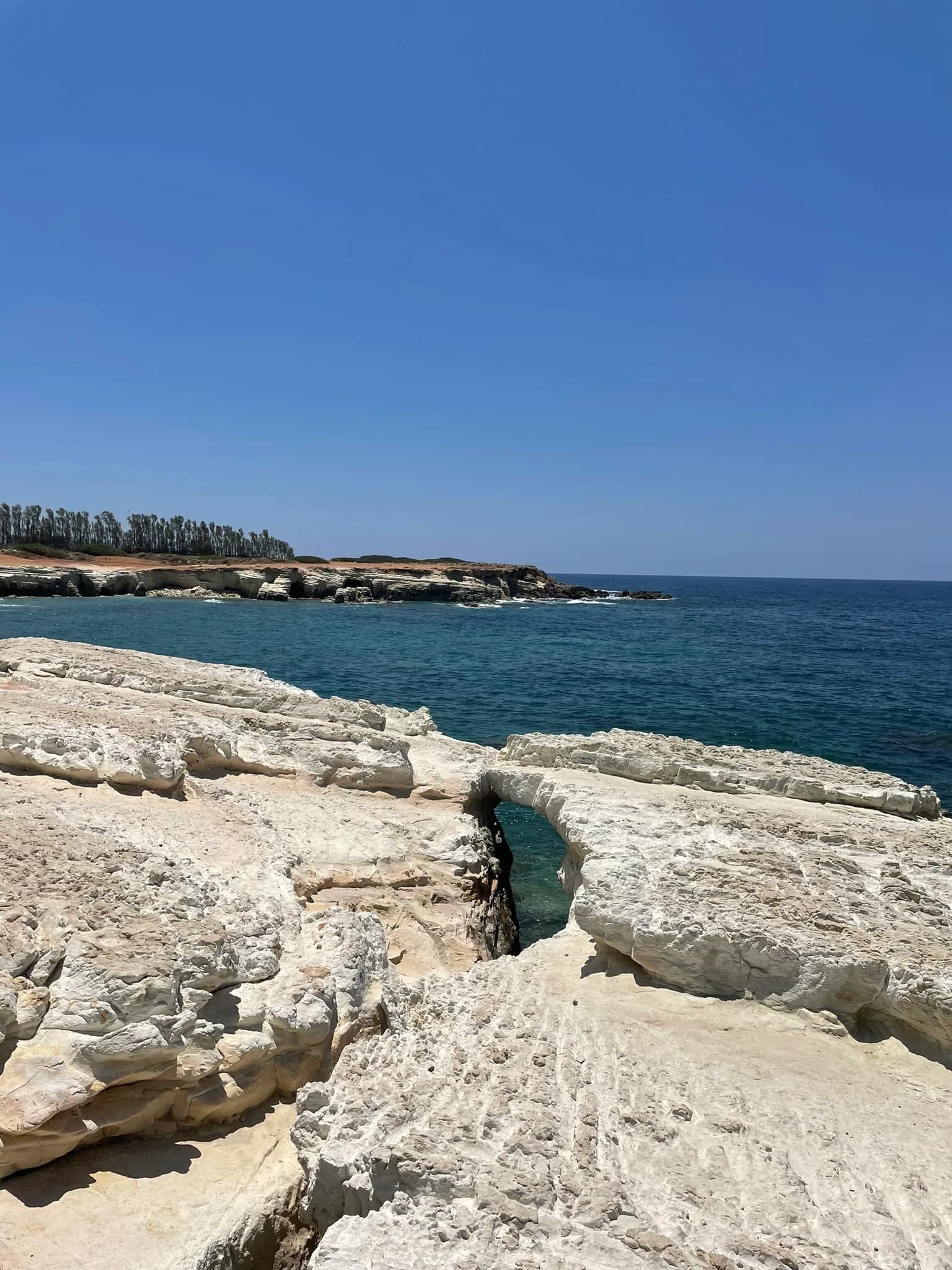 Lichte rotskust bij Peyia ten noorden van Paphos