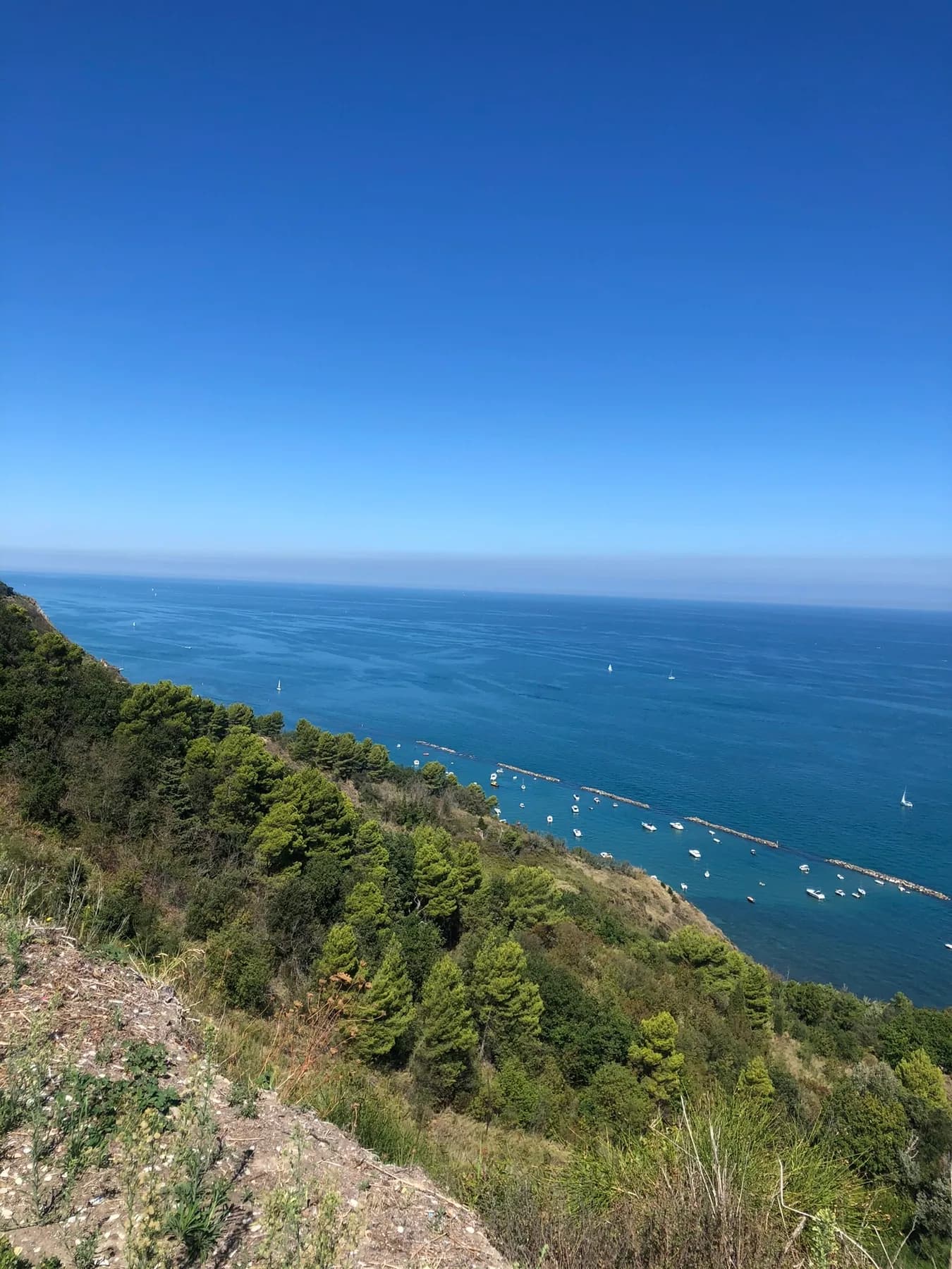 Groene kusthelling boven de Adriatische Zee bij Rimini