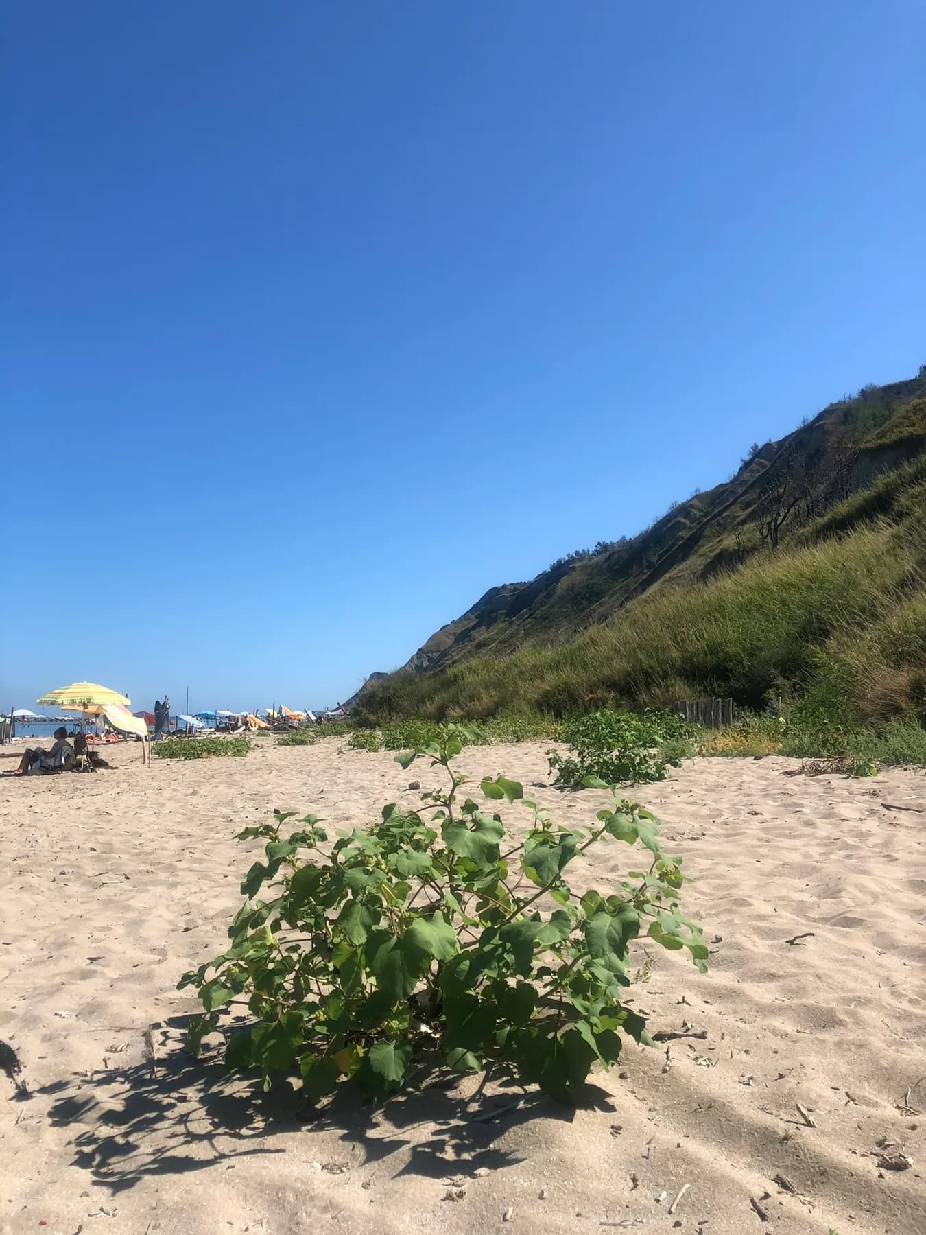 Breed zandstrand aan de kust bij Rimini
