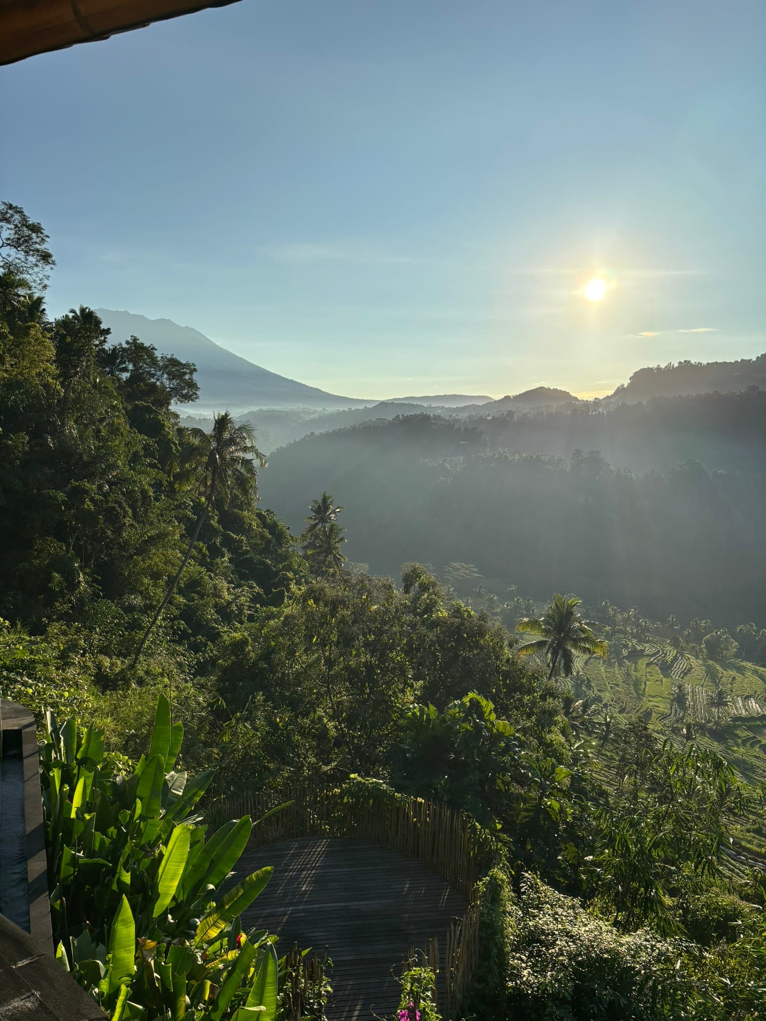 Ochtendzon boven vulkanische jungle in Indonesië