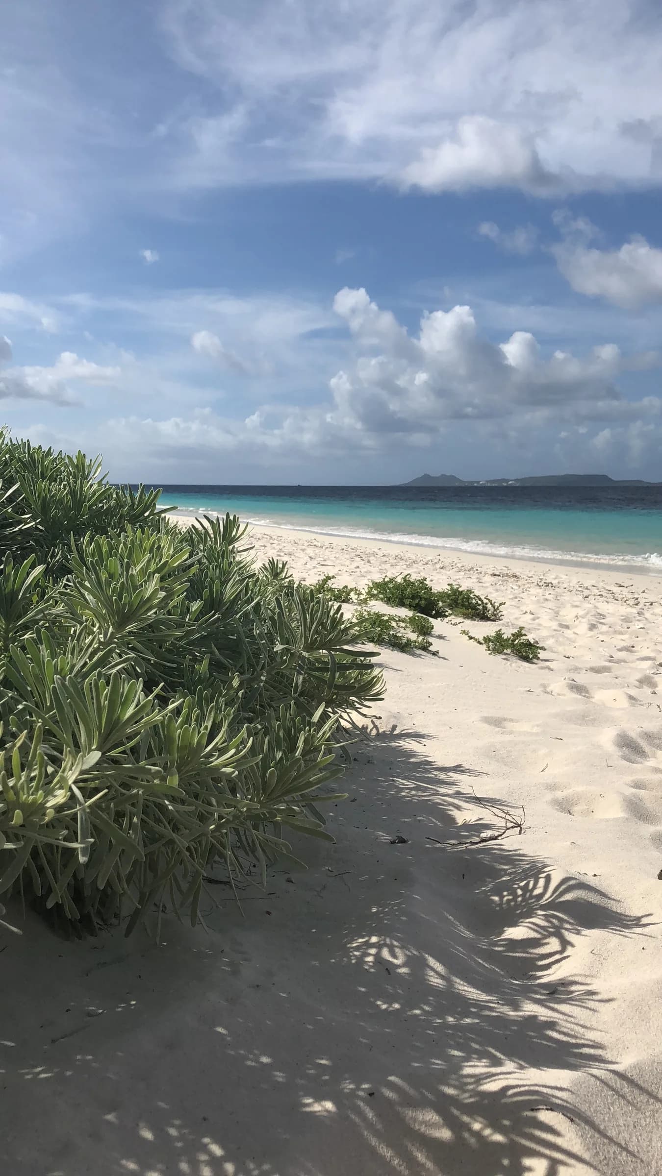 Strand, droog struikgewas en blauwe zee op Klein Bonaire