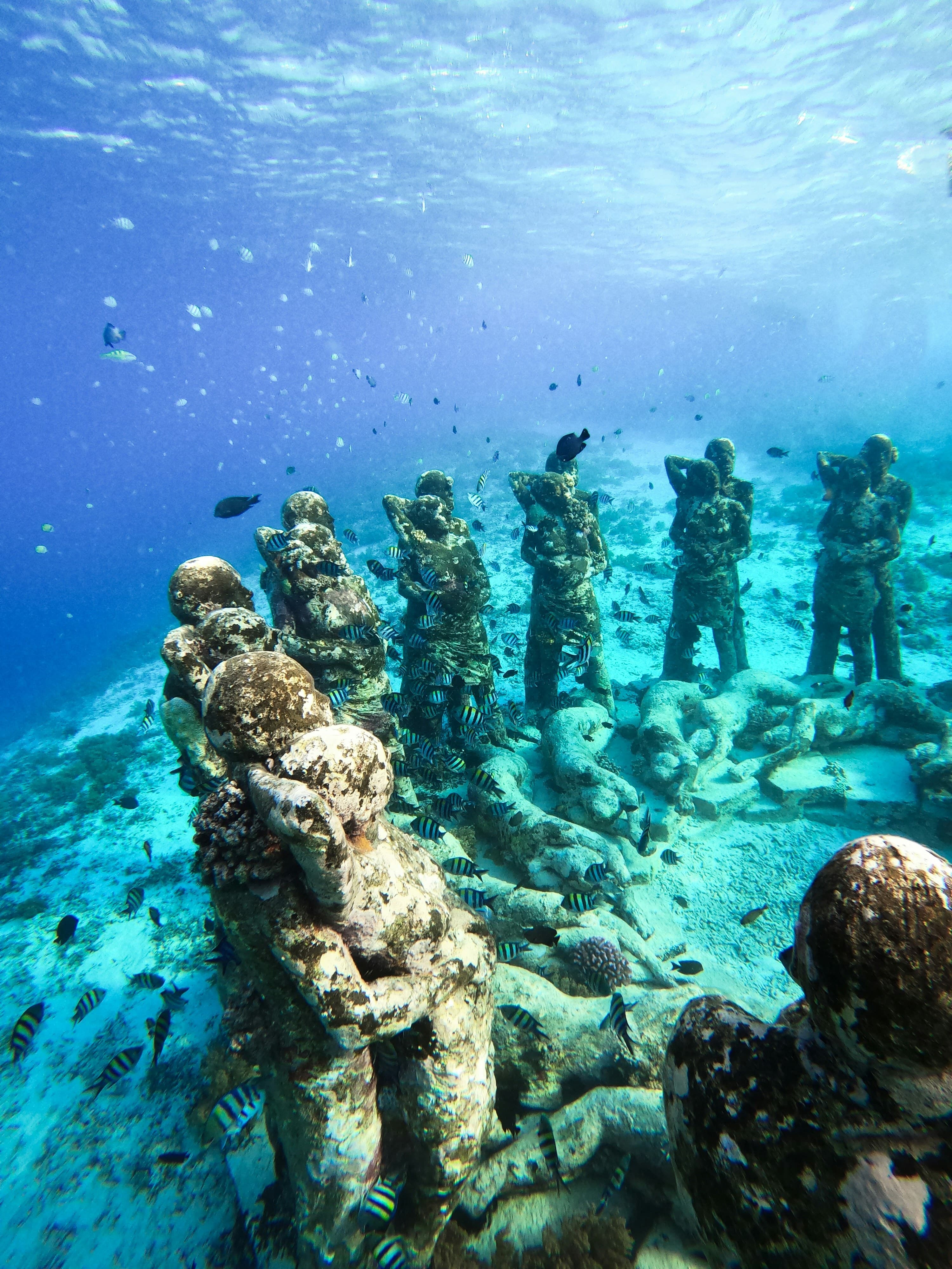 Onderwaterkunstwerk Nest tussen vissen bij Gili Meno