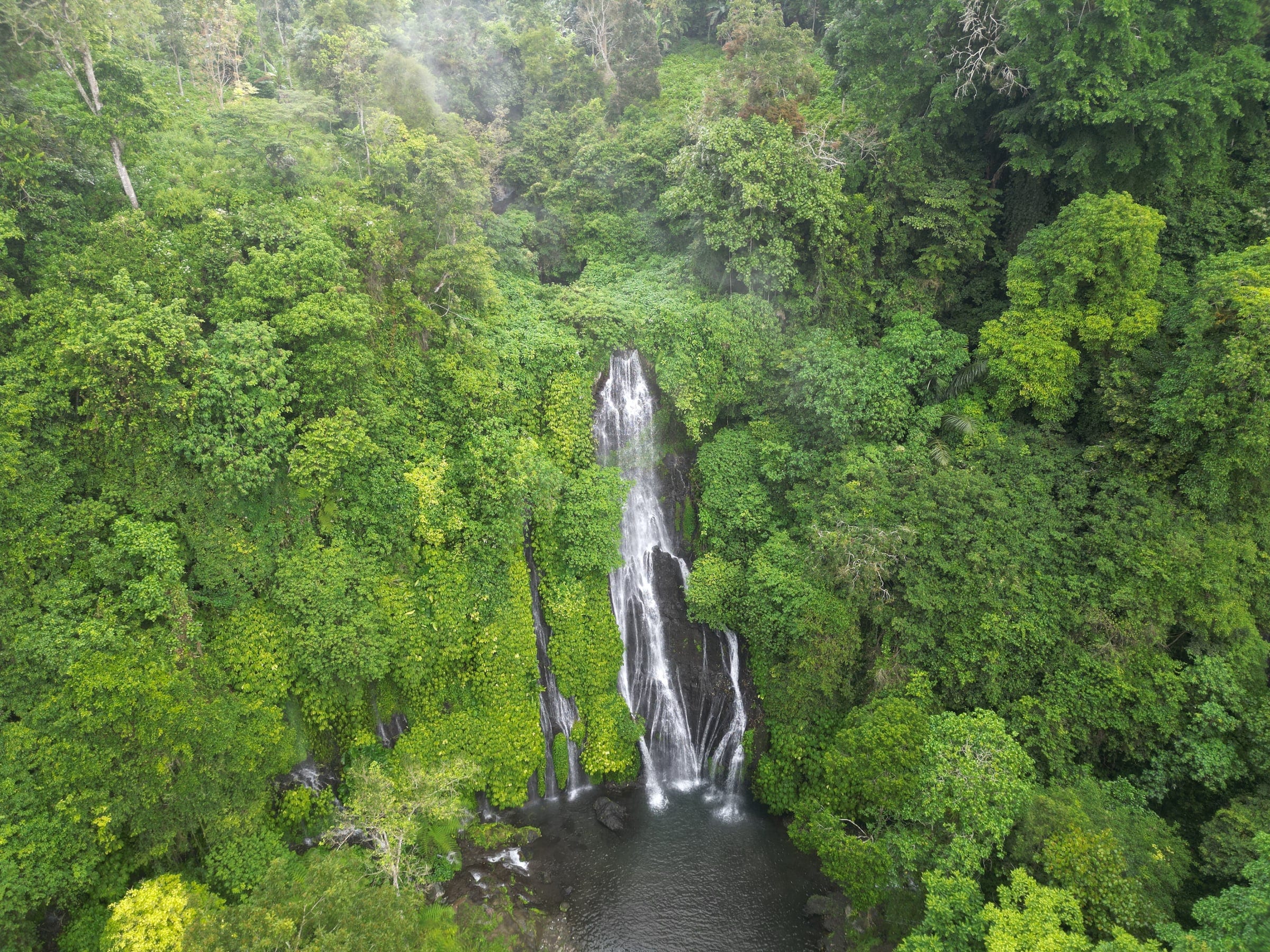 Banyumala Twin Waterfall tussen de groene jungle van Noord-Bali