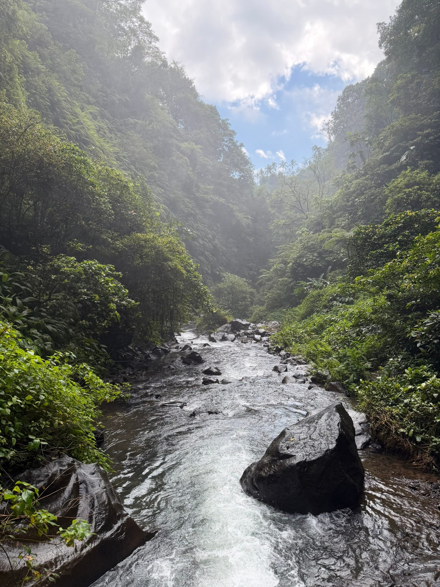 Rivier en groene jungle bij de watervallen van Sekumpul