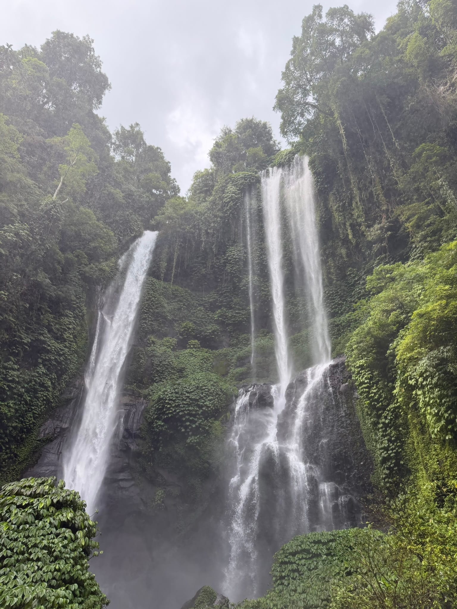 Sekumpul Waterfall tussen de groene jungle van Noord-Bali