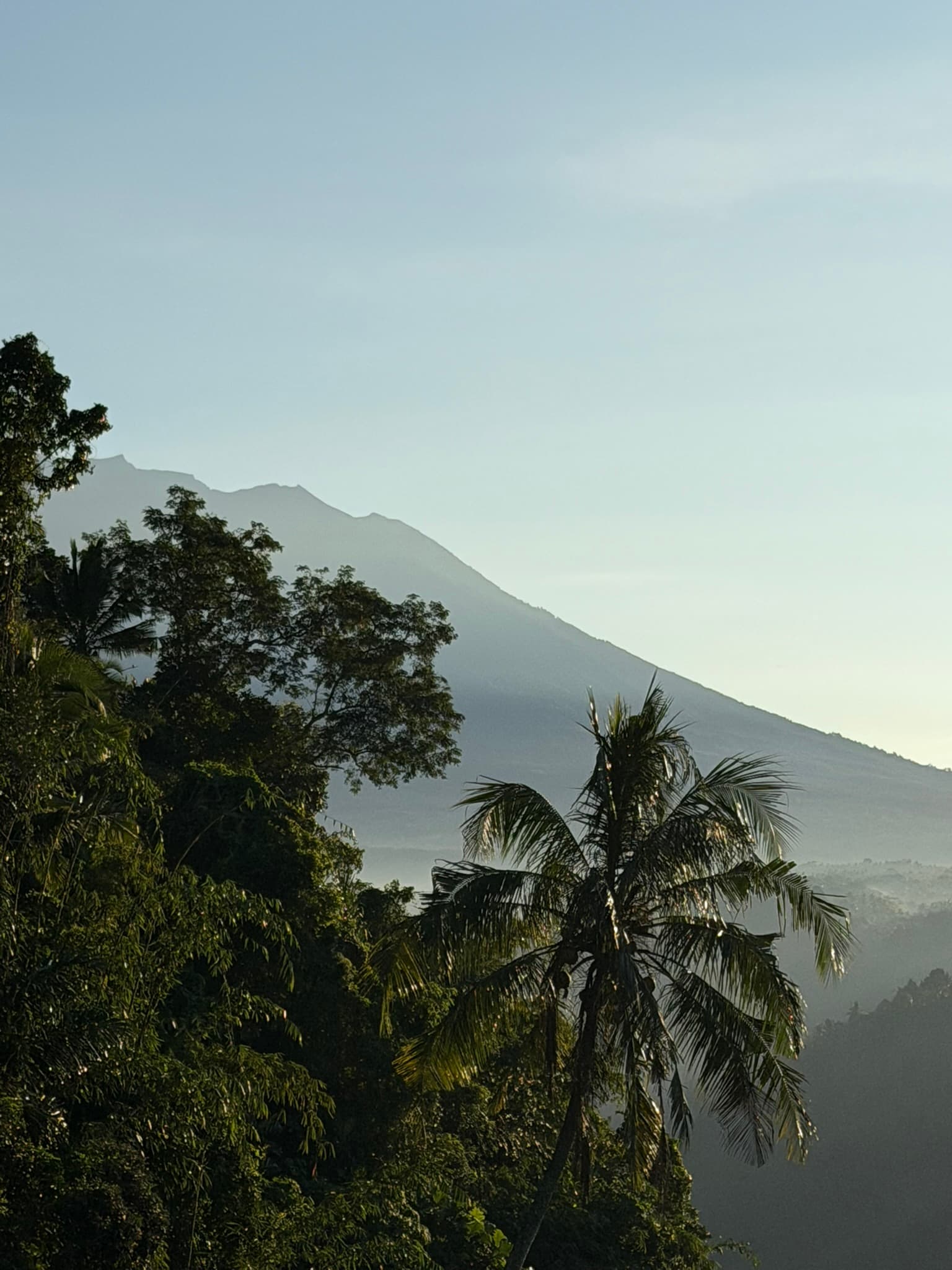 Mount Agung tussen palmbomen vanuit de omgeving van Sidemen