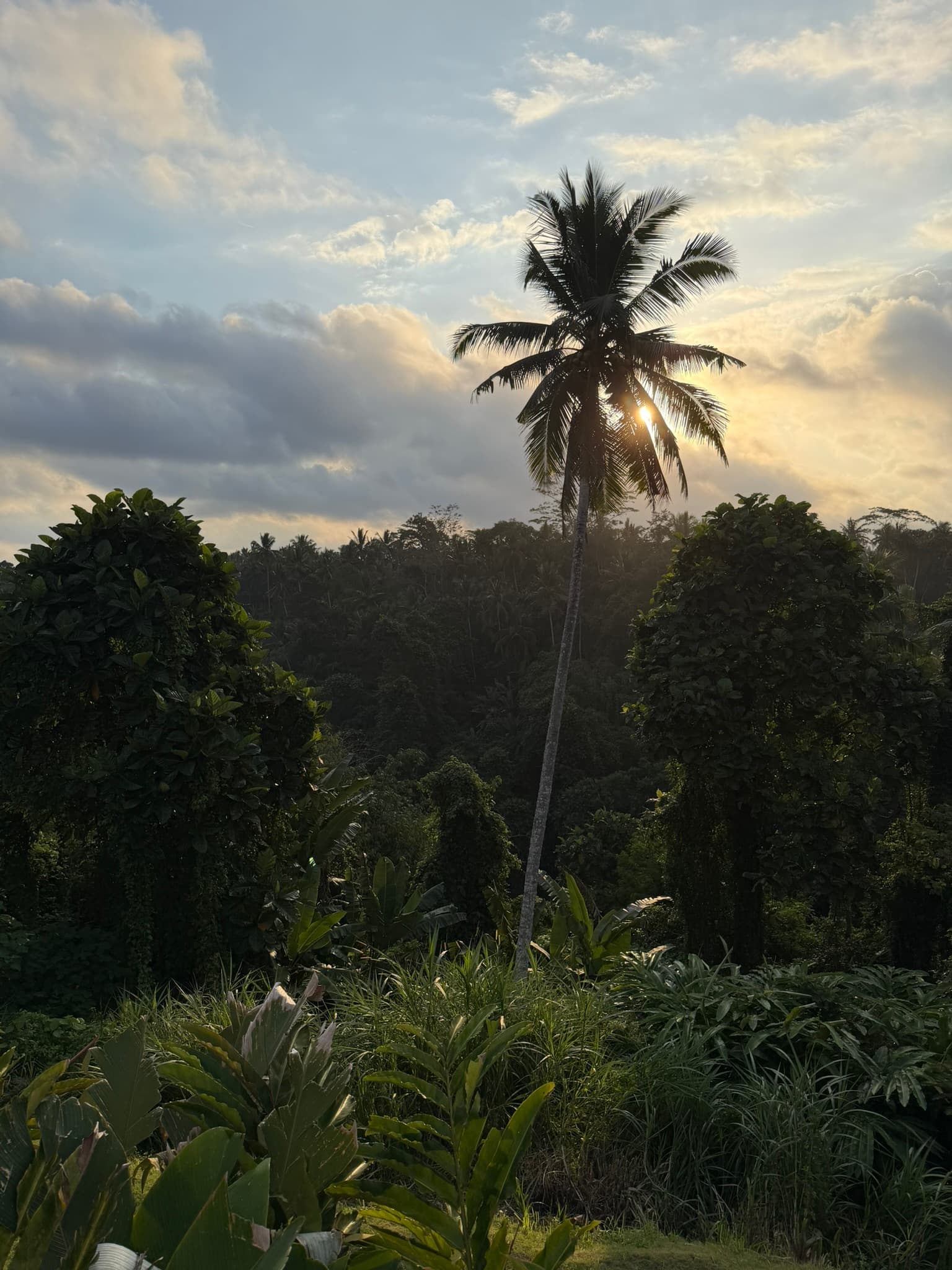 Eigen reisfoto bij Tips voor Ubud