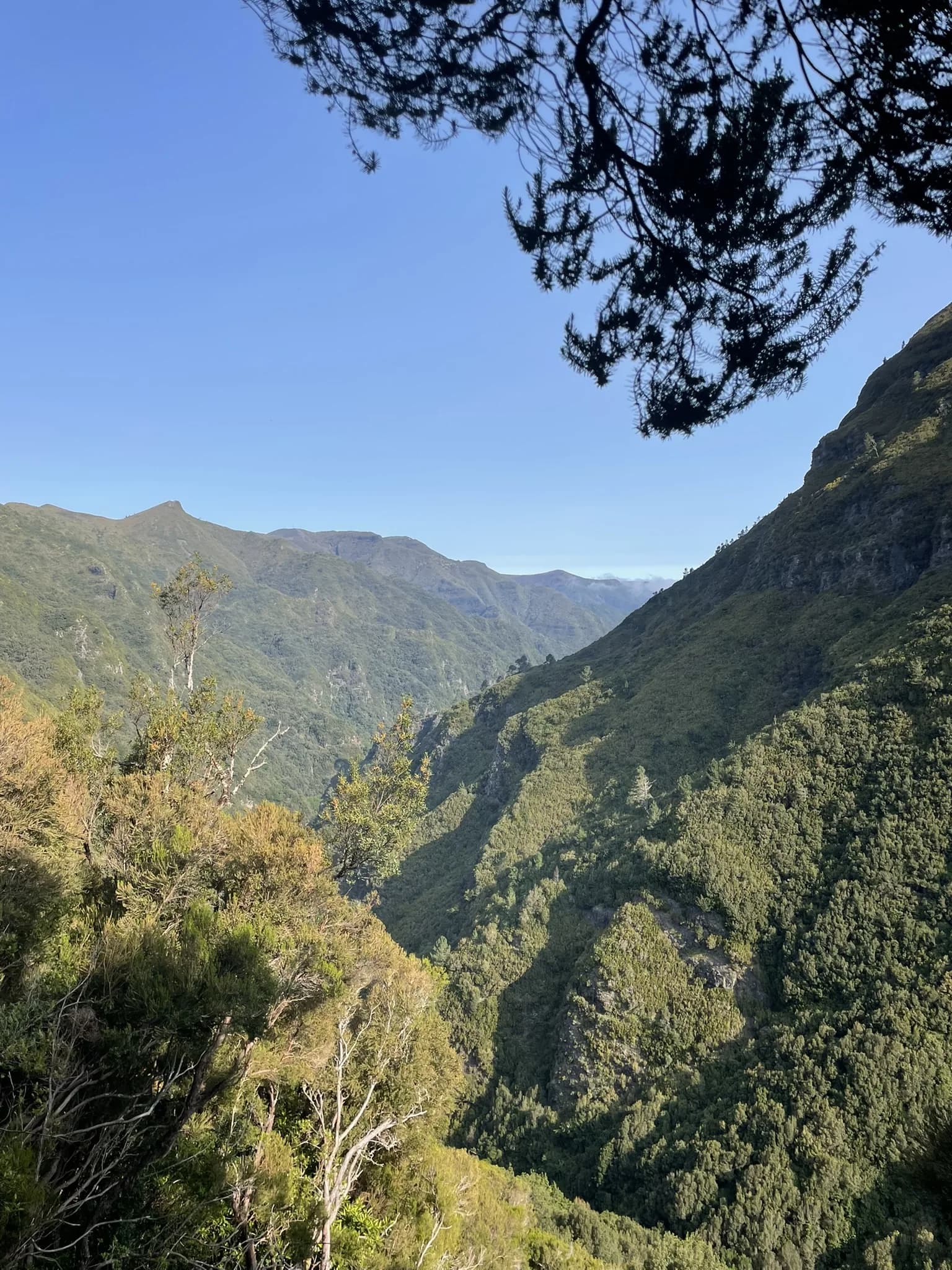 Groene vallei in het Rabaçal-gebied