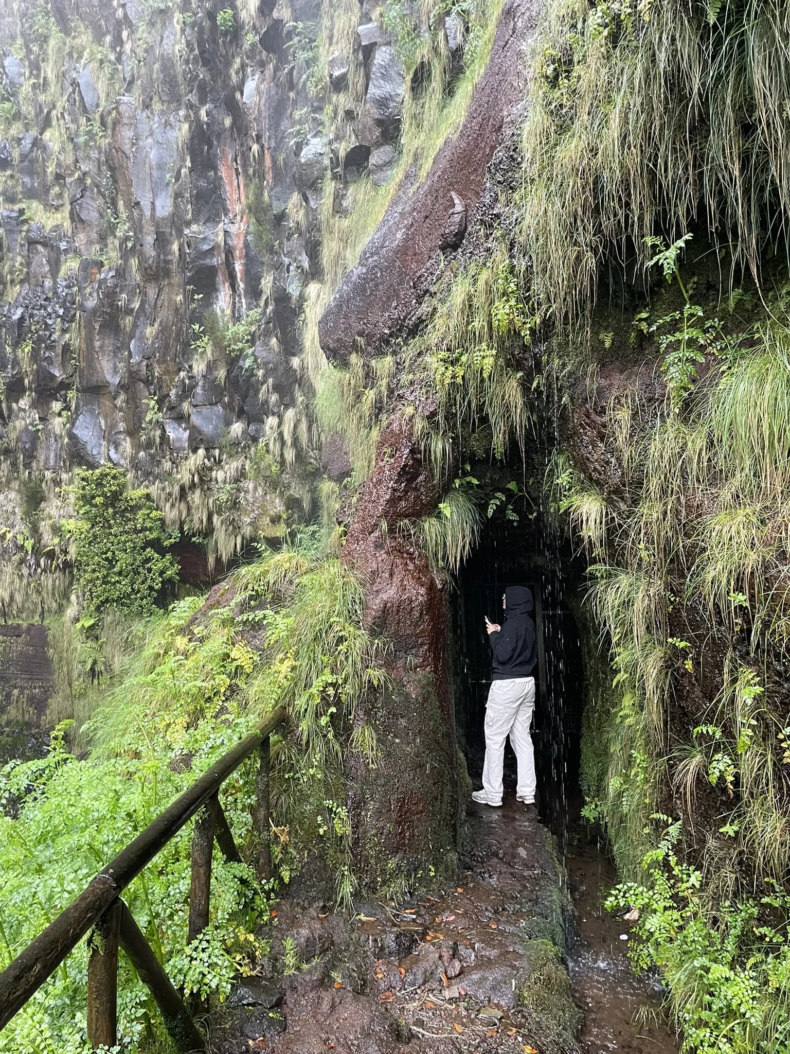 Smalle begroeide doorgang langs de levada in Rabaçal