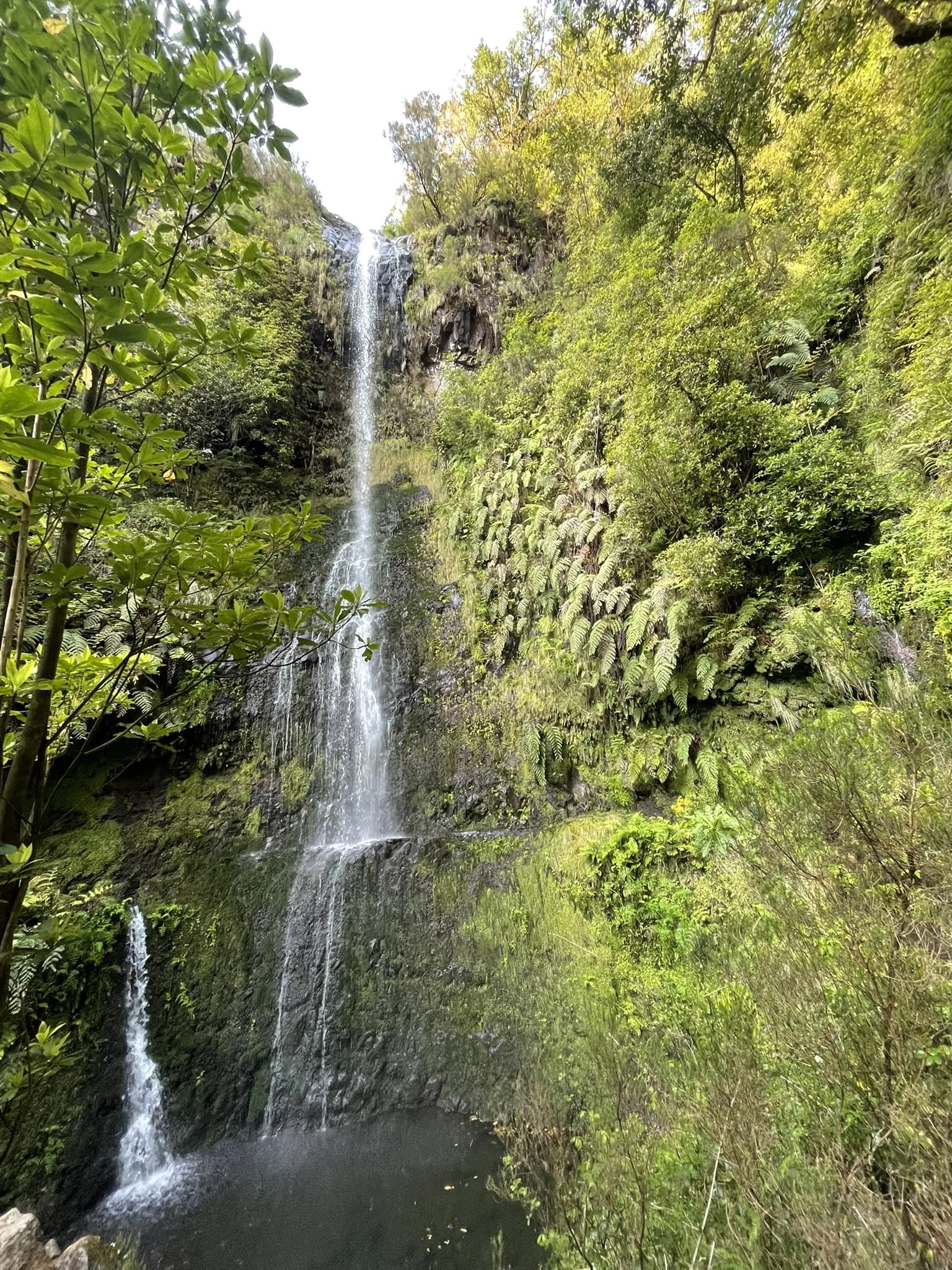 Hoge waterval tussen het groen bij Caldeirão Verde