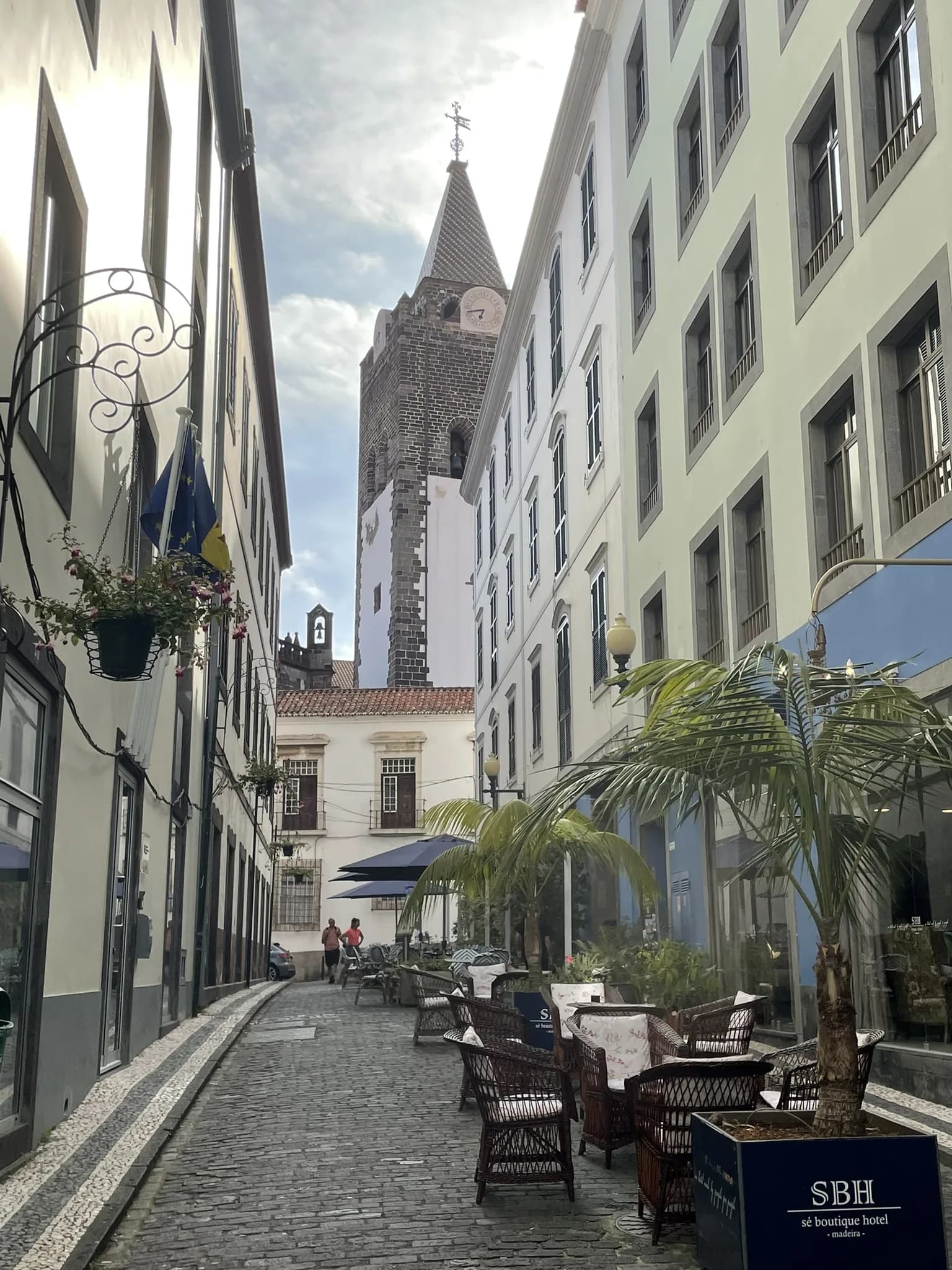 Lichte gevels en palmbomen in het centrum van Funchal