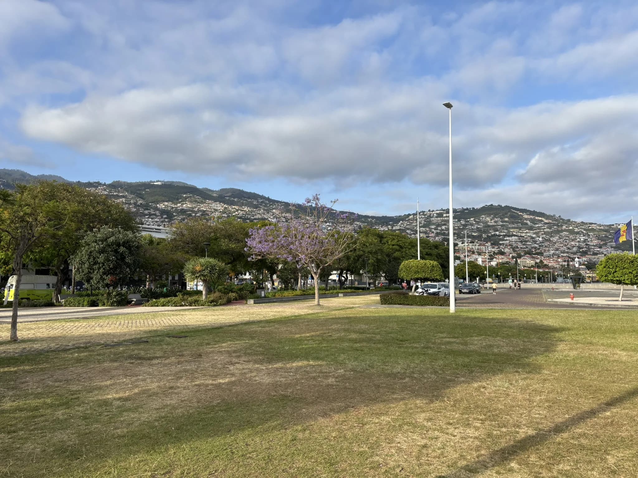 Stadspark met de heuvels van Funchal op de achtergrond