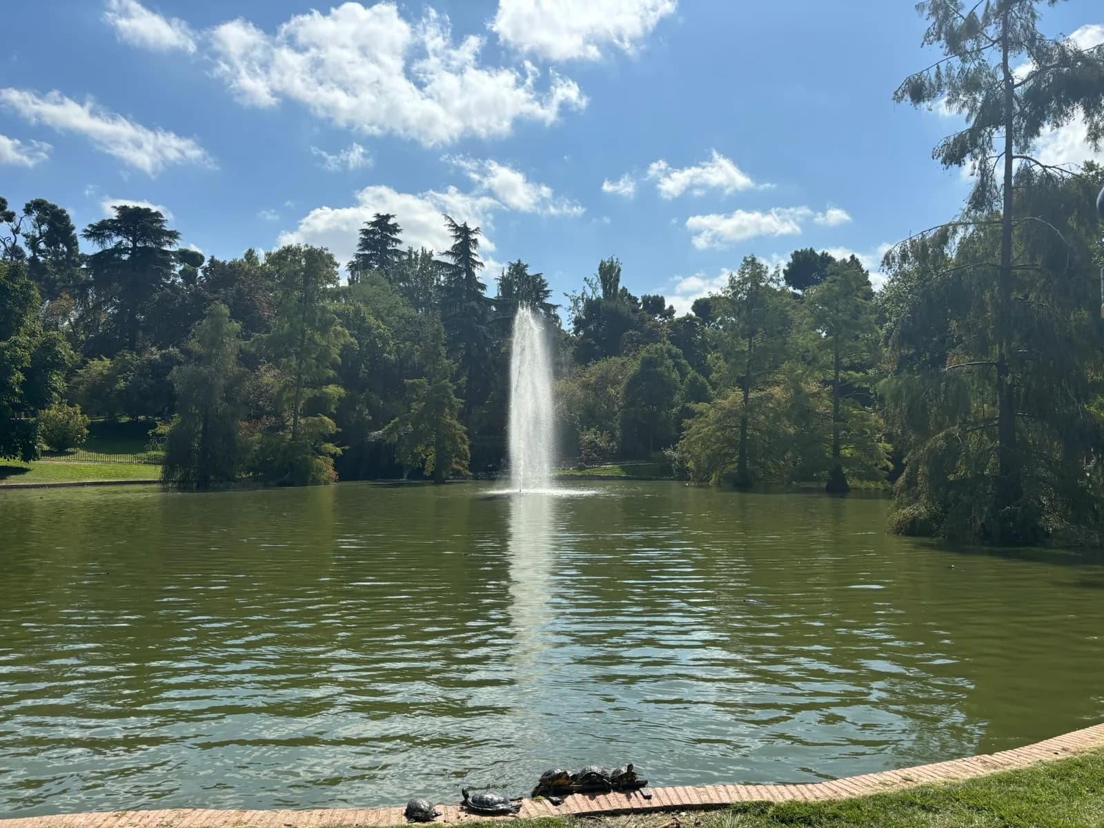 Groene vijver met fontein in Parque del Retiro