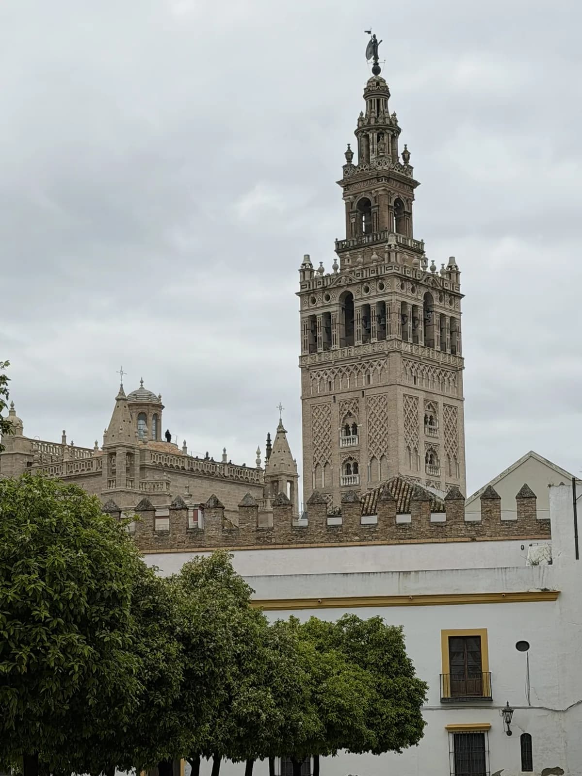 Giralda boven de sinaasappelbomen in Sevilla