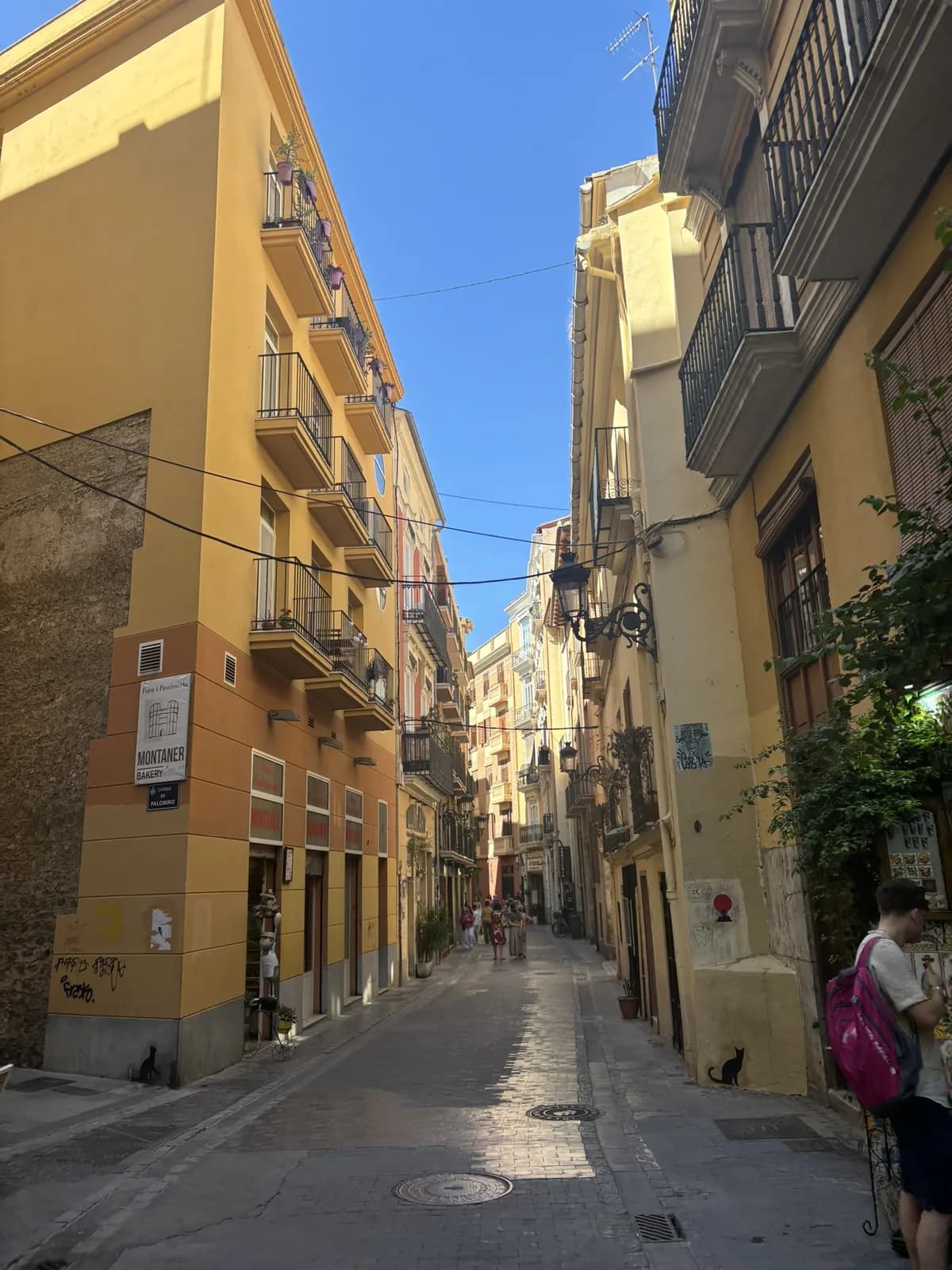 Carrer de Palomino in het historische centrum van Valencia