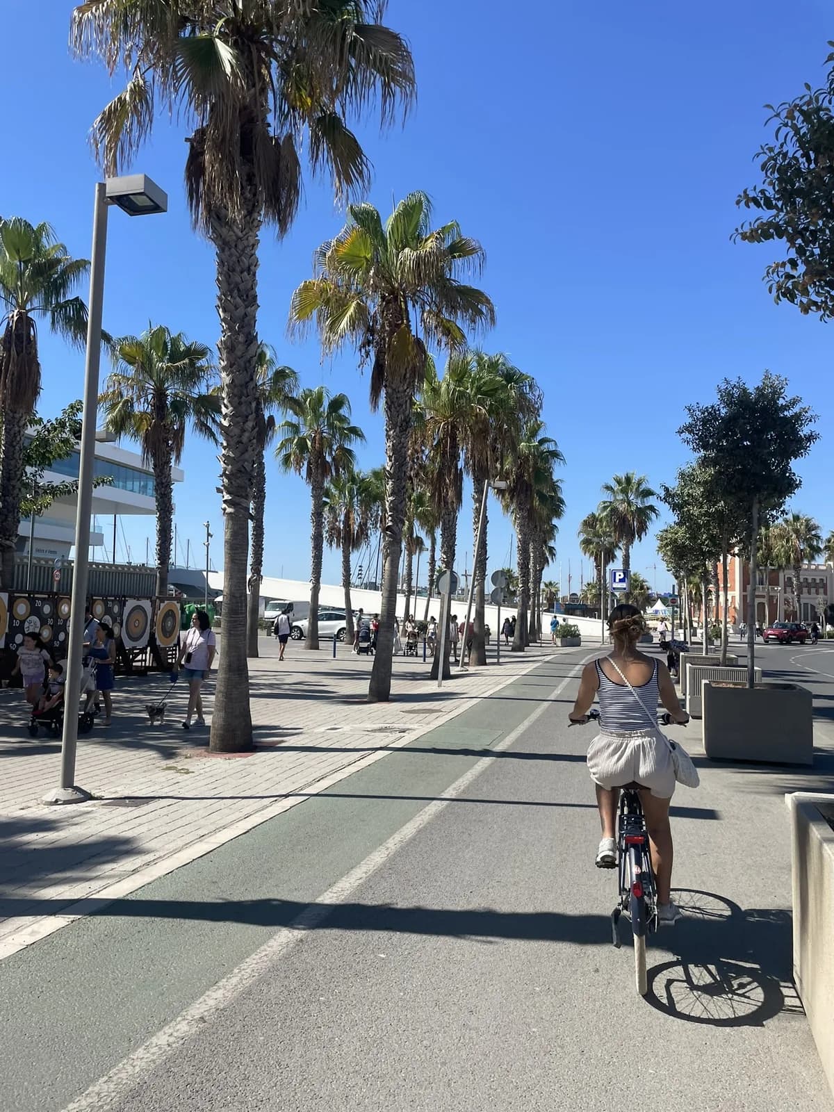 Fietsen over de palmenboulevard langs de kust van Valencia