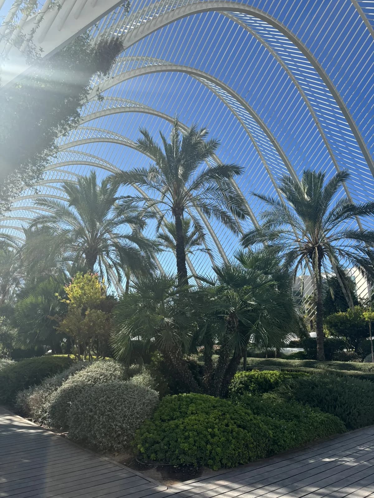 Palmen en witte bogen van L’Umbracle in Valencia