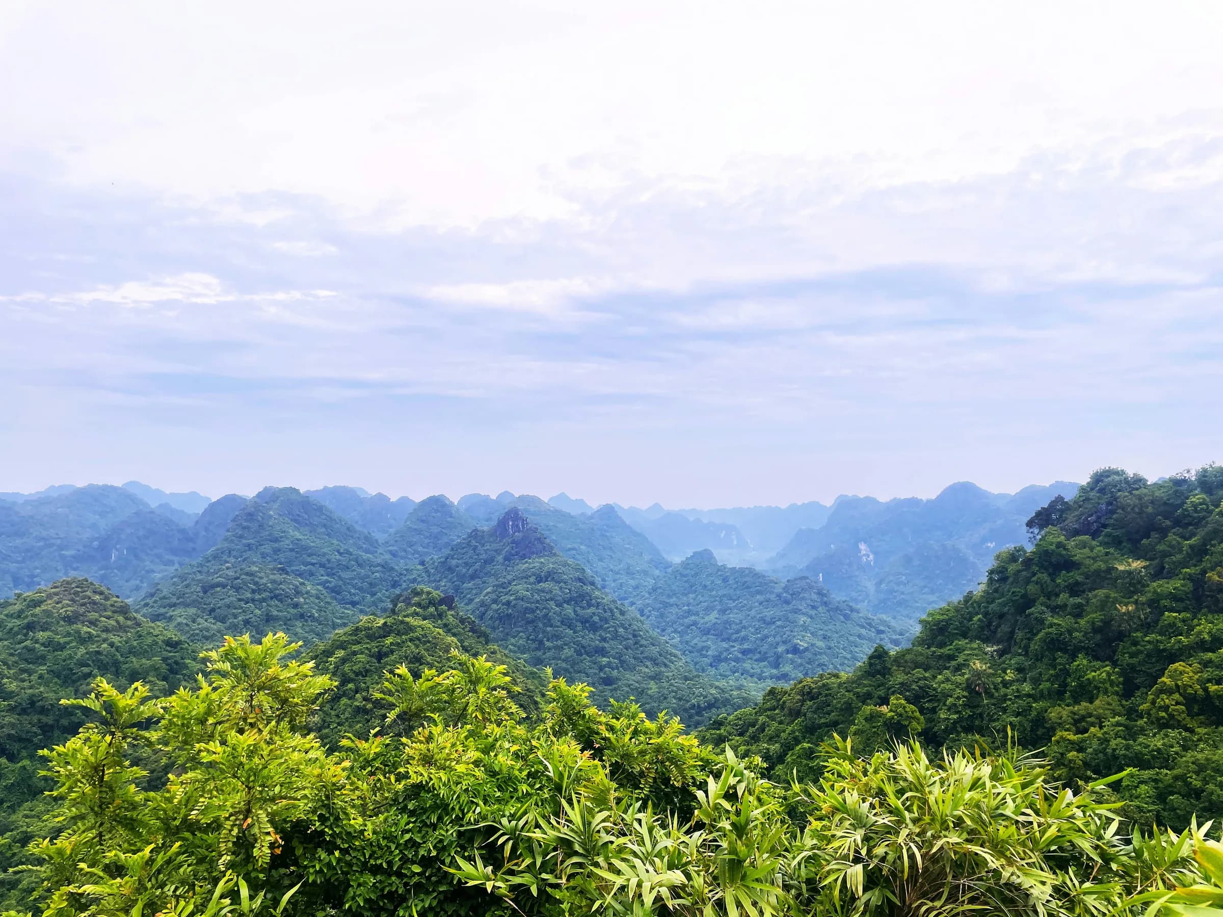 Groene karstbergen in Cat Ba National Park