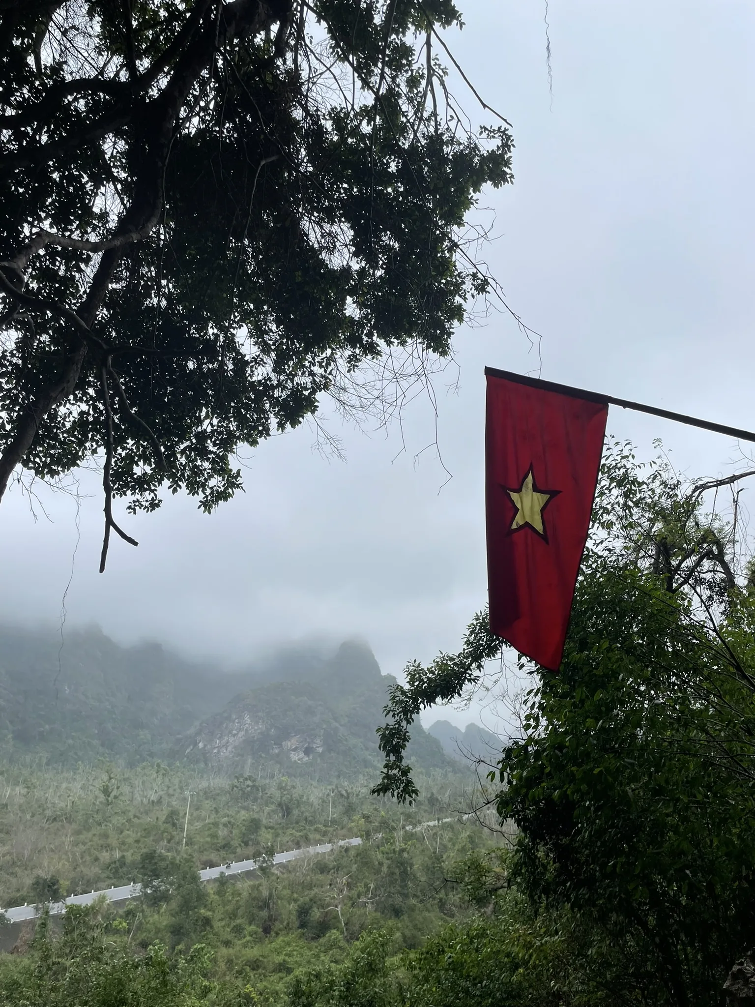 Vietnamese vlag boven een mistig uitzicht in Cat Ba National Park